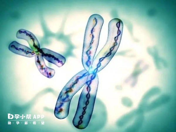 宁波无精试管婴儿