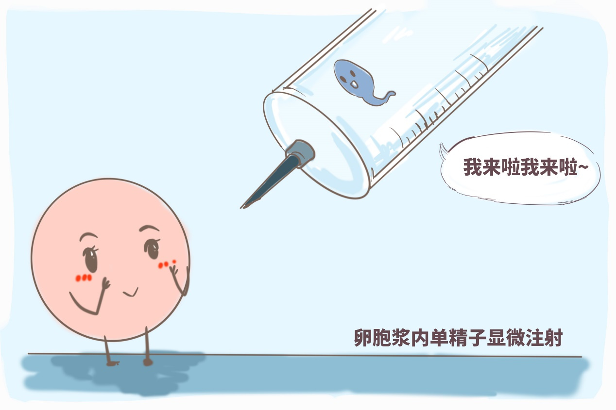 九个月宝宝