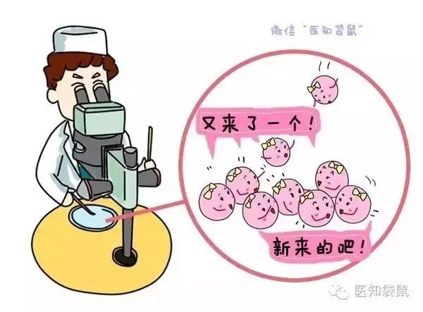 怀女孩