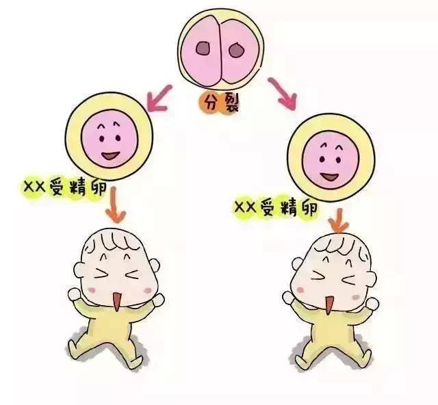 小产权