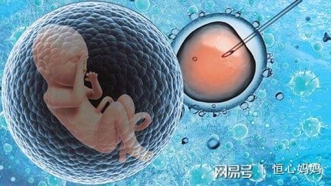 胎宝宝