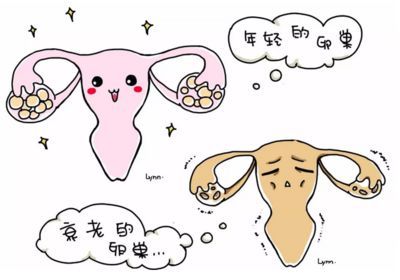小产权房