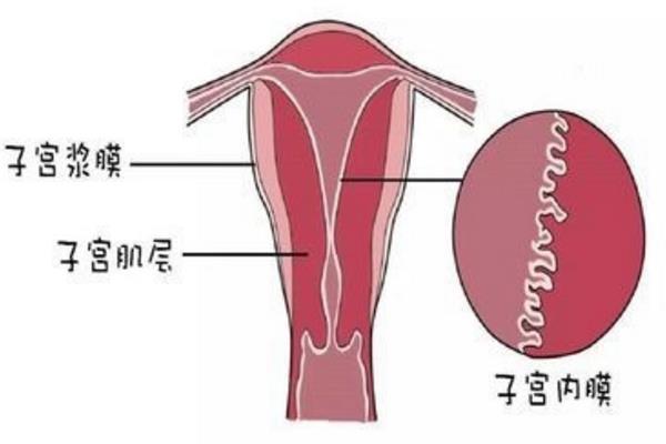 妊娠试纸